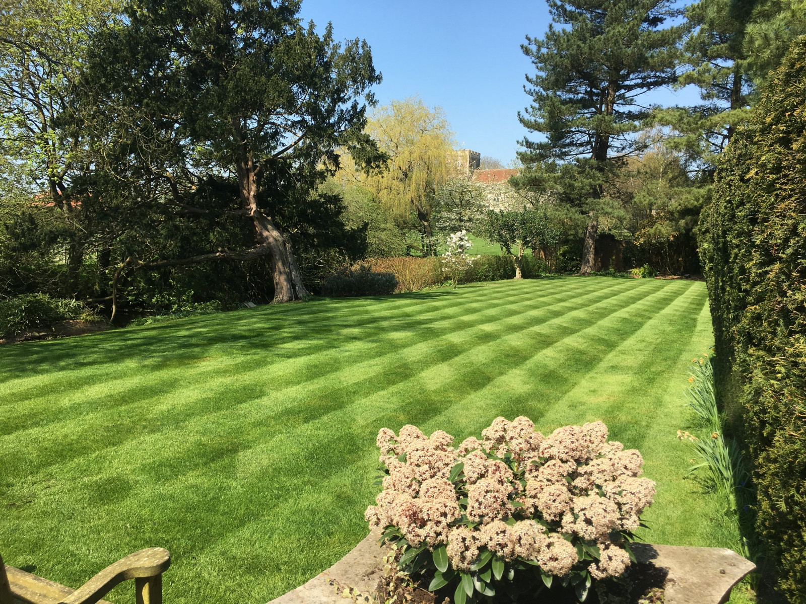 Striped commercial lawn maintained by Landywood