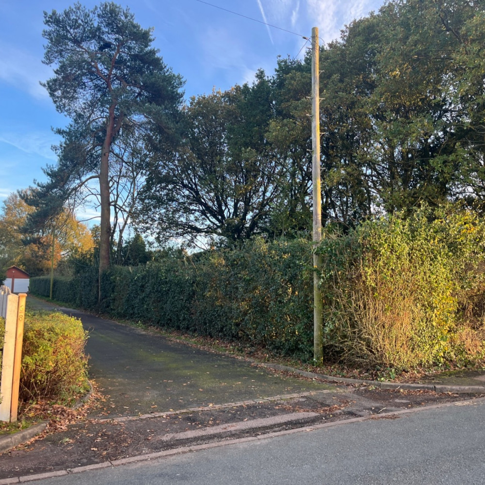 Reduced holly hedge and clear driveway at Etching Hill by Landywood