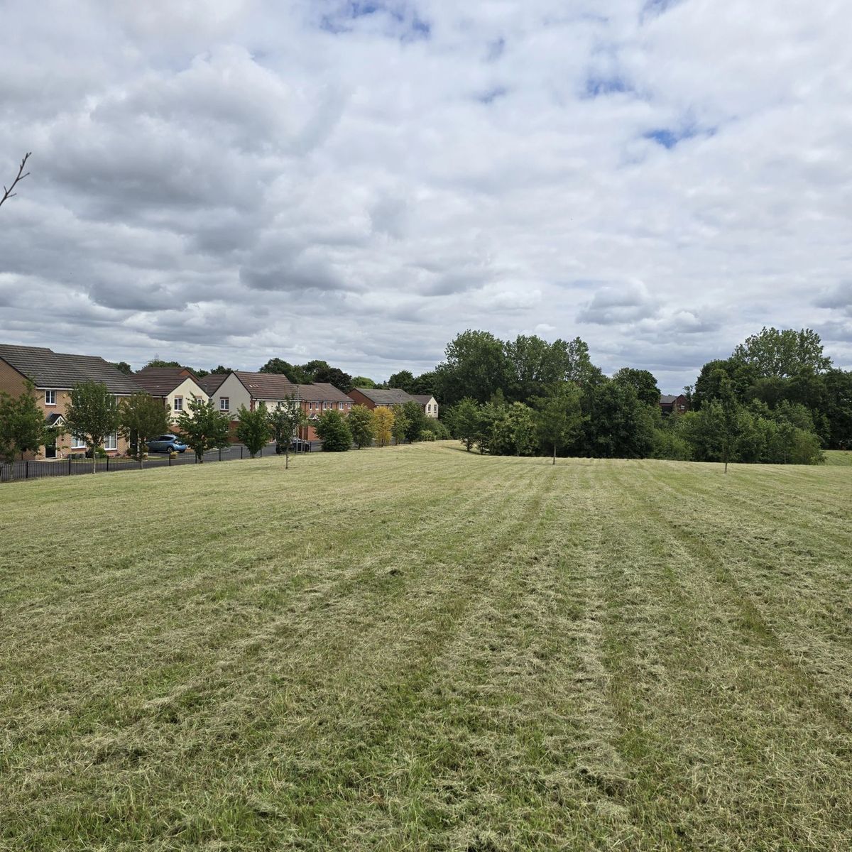 Garden brought back under control by Landywood