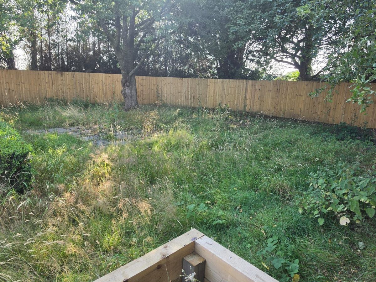 Waist-high overgrown grass filling a large private garden before a Landywood rescue clearance