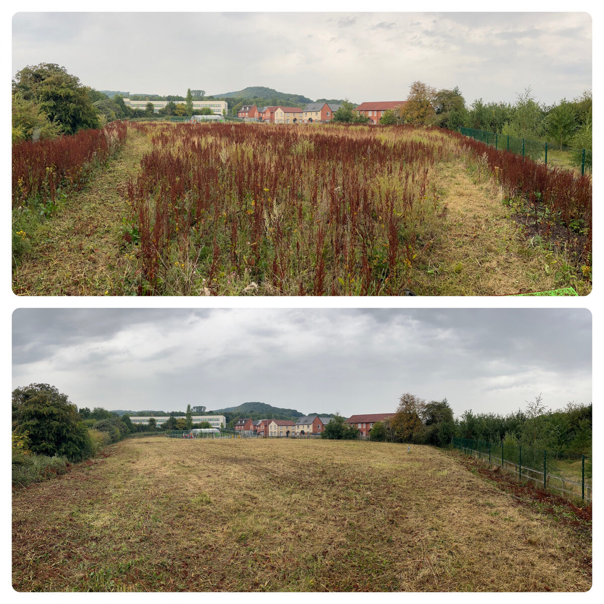 Grounds at scale maintained by Landywood