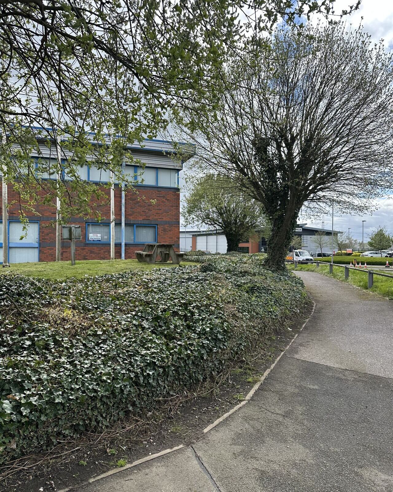 Mature trees and ground cover maintained around a Midlands business park